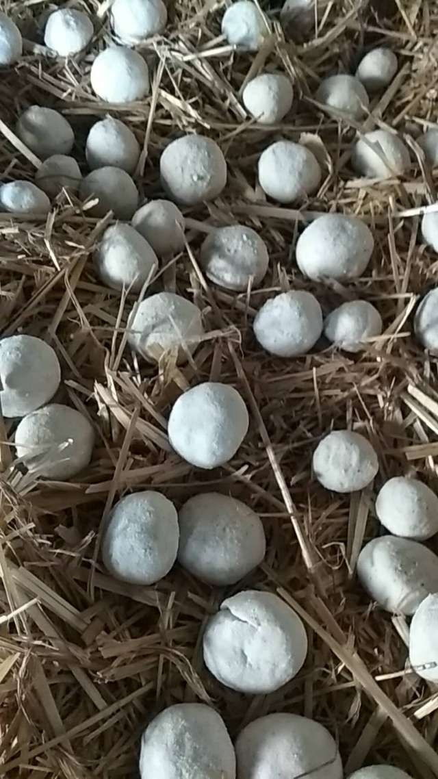 热血传奇手机版酒曲(热血传奇酒曲怎么获得)