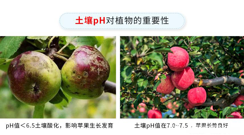 ph苹果版(phigros官方下载苹果)-第1张图片-QuickQ官网