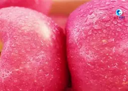 hisurvey苹果版(hisurveyroad安卓新版下载)-第1张图片-QuickQ官网