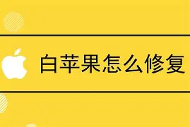 91手机助手iphone版白苹果(91手机助手 for iphone)-第2张图片-QuickQ官网