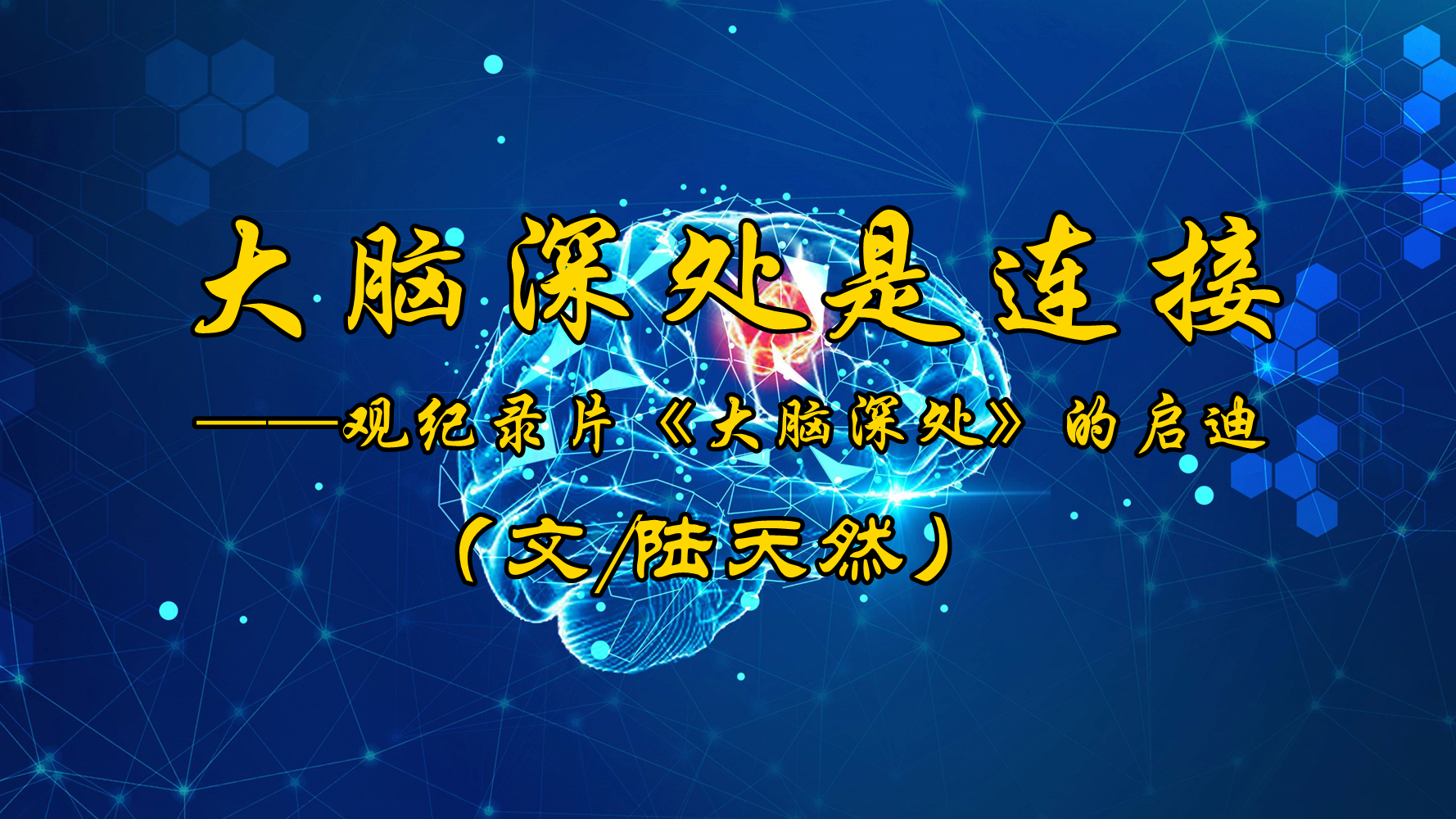 大脑电影手机版(关于大脑的电影有哪些)-第5张图片-QuickQ官网 大脑电影手机版(关于大脑的电影有哪些)-第5张图片-QuickQ官网
